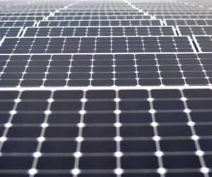 Multi-row solar panel array