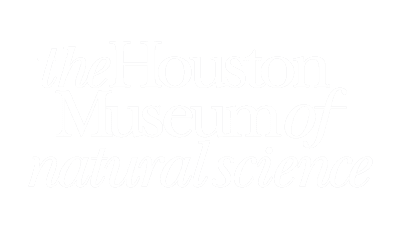 The Houston Museum Of Natural Science white logo