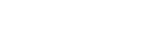 Lost Pines Toyota Bastrop