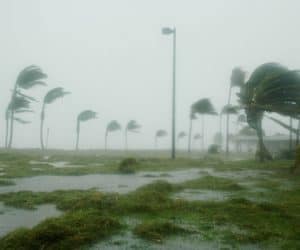 A beach in Key West, Florida with palm trees that can withstand a hurricane by taking on high-force winds and heavy rain