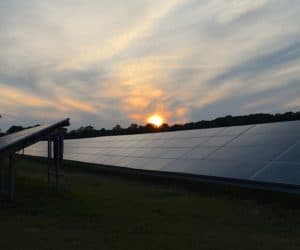 A solar panel array installed in a field with a view of the sun setting in the distance.