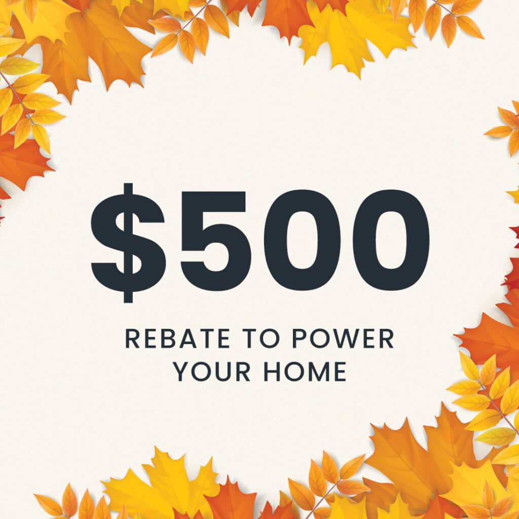 $500 Rebate to power your home graphic with leaves on the sides