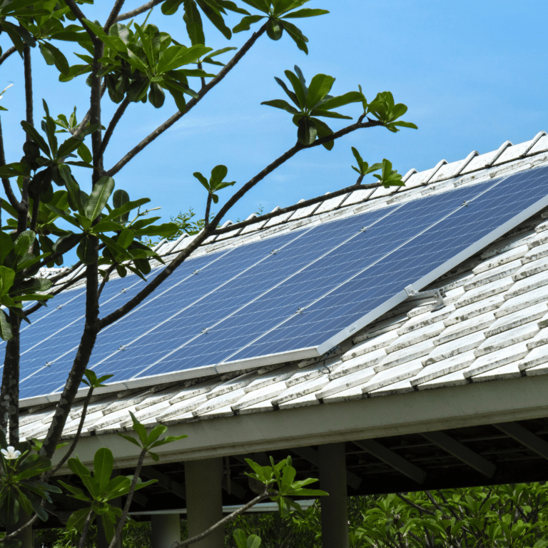 Home solar with trees