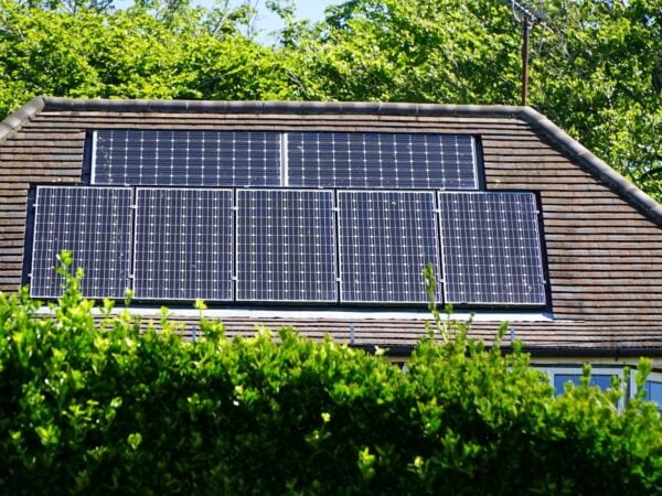 Will Trees Affect My Solar Panels?