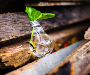 Photo of a leaf in a glass bulb with water attached to the side of a cabin.
