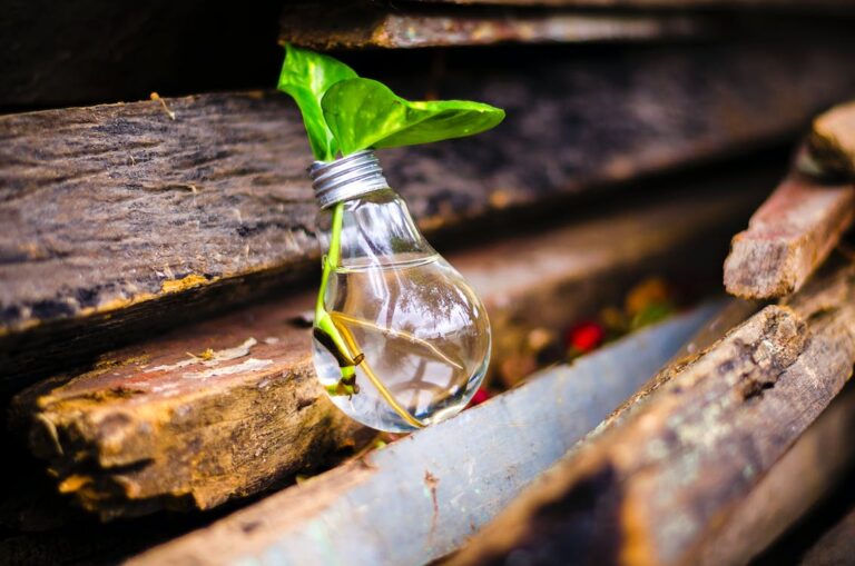 Photo of a leaf in a glass bulb with water attached to the side of a cabin.
