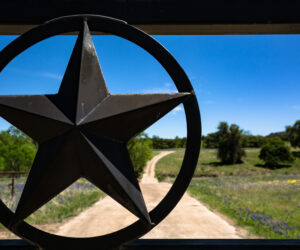 Texas Star against a green and sunny backdrop