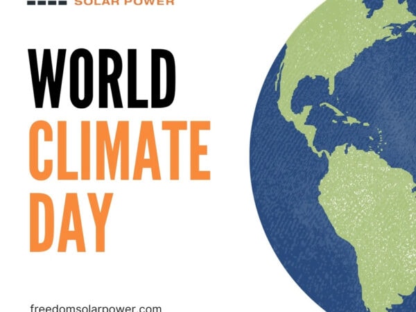 Making a Difference on World Climate Day … and Every Other Day