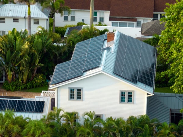 How Much Do Solar Panels Cost in Tampa